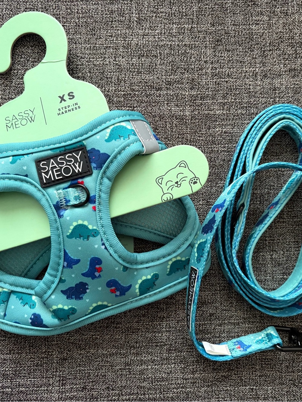 NWT XS Sassy Meow Harness & Leash